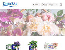 Tablet Screenshot of chrysalflowerfood.com